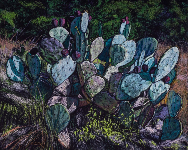 Proud Opuntia by artist Nancy Lilly